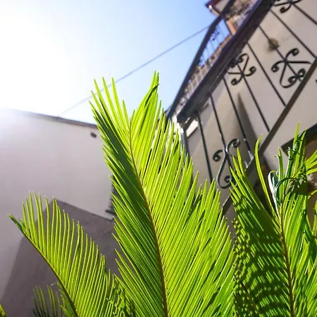 Monolocale A 50 Metri Dal Mare Appartement