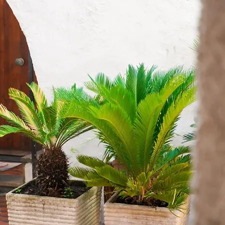 Monolocale A 50 Metri Dal Mare